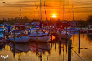 10151 - Stauning harbour sunrise