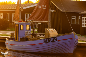 10161 - Fishing Boat in Stauning Havn