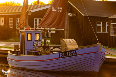 10161 - Fishing Boat in Stauning Havn