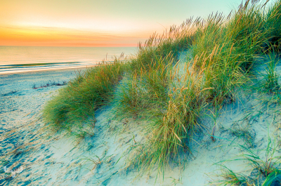 10213 - Søndervig Strand soft summer sunset