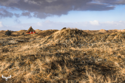 10279 - Red somme cottage near Nymindegab