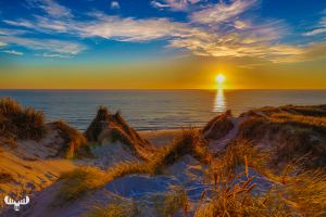 10324 - North Sea sunset with dunes at Haurvig