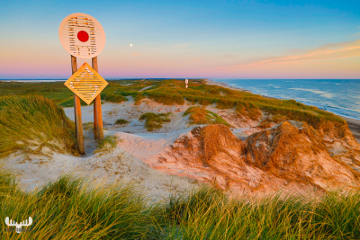 10331 - Sea mark in sunset at Haurvig North Sea