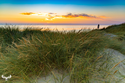 10405 - Looking at Søndervig North Sea sunset