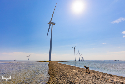 10245 - Wind power turbines at Nissum Bredning