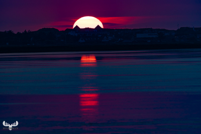 10483 - Low sun behind Søndervig Silhouette
