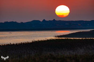 10520 - Sunset behind at Ringkøbing Fjord with Søndervig silhoeutte