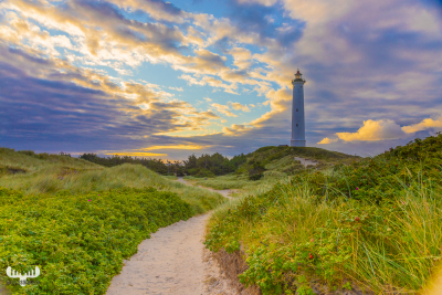 10744 - The road to Nr.Lyngvig fyr lighthouse