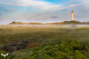 10800 - Nr.Lyngvig fyr lighthouse morning with fog