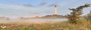 10810 - Nr.Lyngvig fyr lighthouse morning with fog - panorama