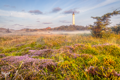 10811 - Nr.Lyngvig fyr lighthouse with fog