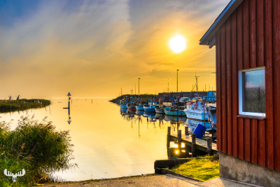 10849 - Æ Tyskerhavn harbour at sunrise, Hvide Sande