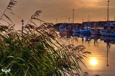 10580 - Sunrise reflection with boats in Æ Tyskerhavn