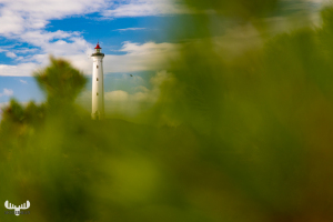 10923 - Nr.Lyngvig fyr lighthouse behind tree branches