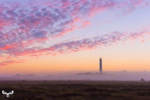 10965 - Nr.Lyngvig lighthouse in fog, Hvide Sande
