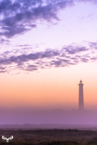 10973 - fyr lighthouse sunset pastell colors in fog