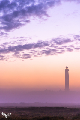 10973 - fyr lighthouse sunset pastell colors in fog