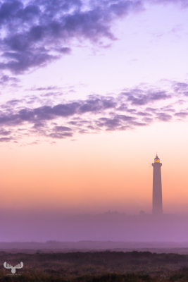 10973 - fyr lighthouse sunset pastell colors in fog