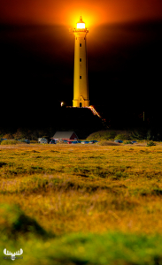 10981 - Nr.Lyngvig fyr lighthouse day and night I