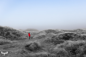 11137 - Red jacket in foggy dune landscape