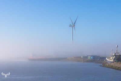 11163 - Hvide Sande Havn - wind turbine in harbor in fog