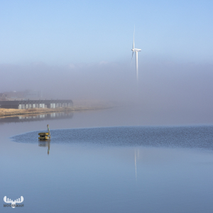 11165 - Hvide Sande Havn - wind turbine and cottages in fog