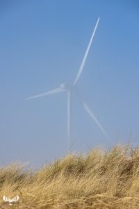 11180 - Wind turbine behind beach grass