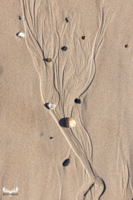 11231 - Sand structures and stones on beach in Søndervig - stone tree