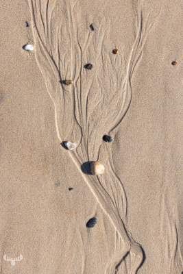 11231 - Sand structures and stones on beach in Søndervig - stone tree