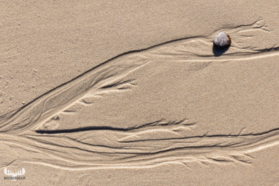 11234 - Sand structures and stone on beach in Søndervig