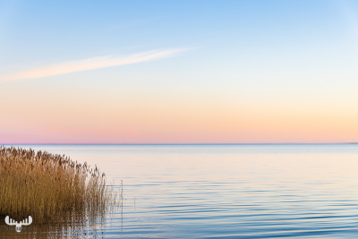 11239 - Ringkøbing Fjord tranquility