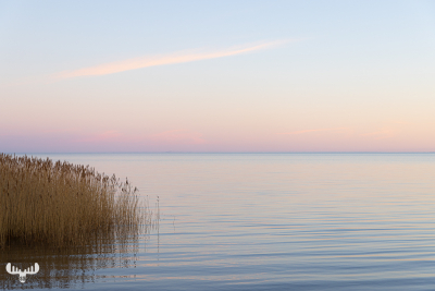 11241 - Ringkøbing Fjord tranquility II