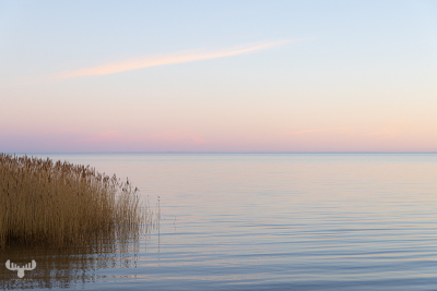 11241 - Ringkøbing Fjord tranquility II