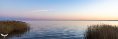 11242 - Ringkøbing Fjord tranquility III