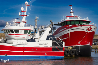 11320 - Ships in Hvide Sande havn shipyard