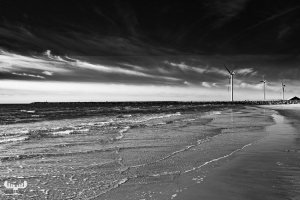 11347 - Hvide Sande beach in B/W with wind trubines
