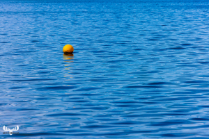 11366 - Yellow buoy on blue Ringkøbing Fjord