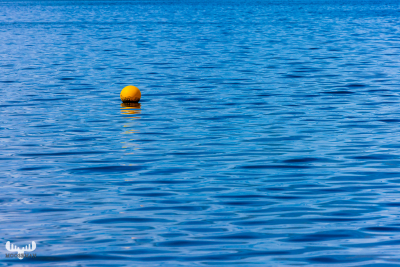 11366 - Yellow buoy on blue Ringkøbing Fjord