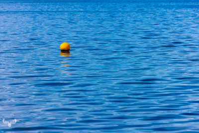 11366 - Yellow buoy on blue Ringkøbing Fjord