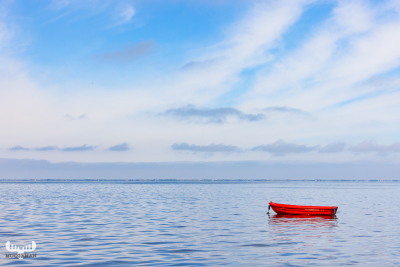 11370 - Red boat floating on Ringkøbing Fjord