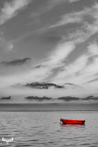 11372 - Red boat on Ringkøbing Fjord