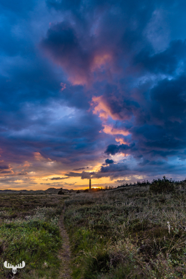 11394 - Nr.Lyngvig Fyr lighthouse with dramatic cloud bow at sunset and track