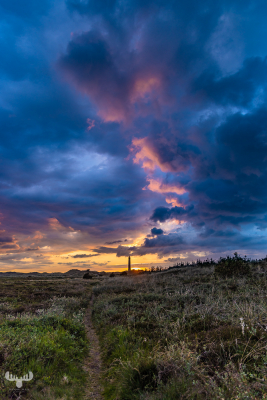 11394 - Nr.Lyngvig Fyr lighthouse with dramatic cloud bow at sunset and track