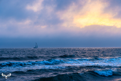11447 - Sailing boat on North Sea