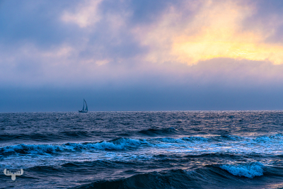 11447 - Sailing boat on North Sea