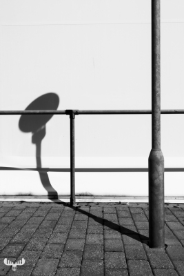 11461 - Street lamp shadows