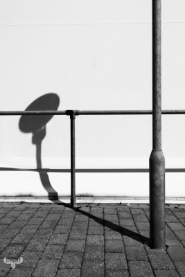 11461 - Street lamp shadows
