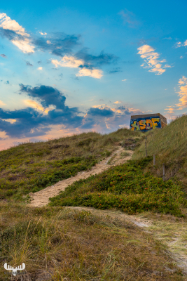 11474 - Road to Bunker on dune