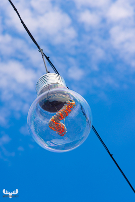 11480 - Street art - light installation