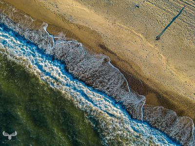 11495 - North Sea, beach, dunes and person from above at Græm Strand